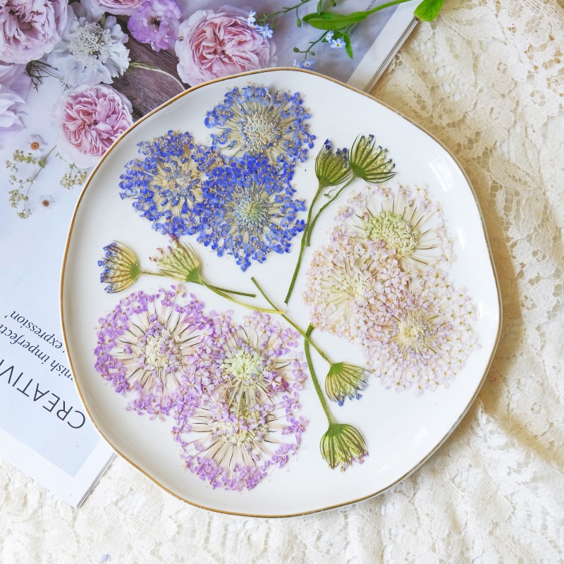 12個入りプレスエメラルドパールフラワー、天然乾燥品、DIY - Dried Flower Bookmark のレビューと価格